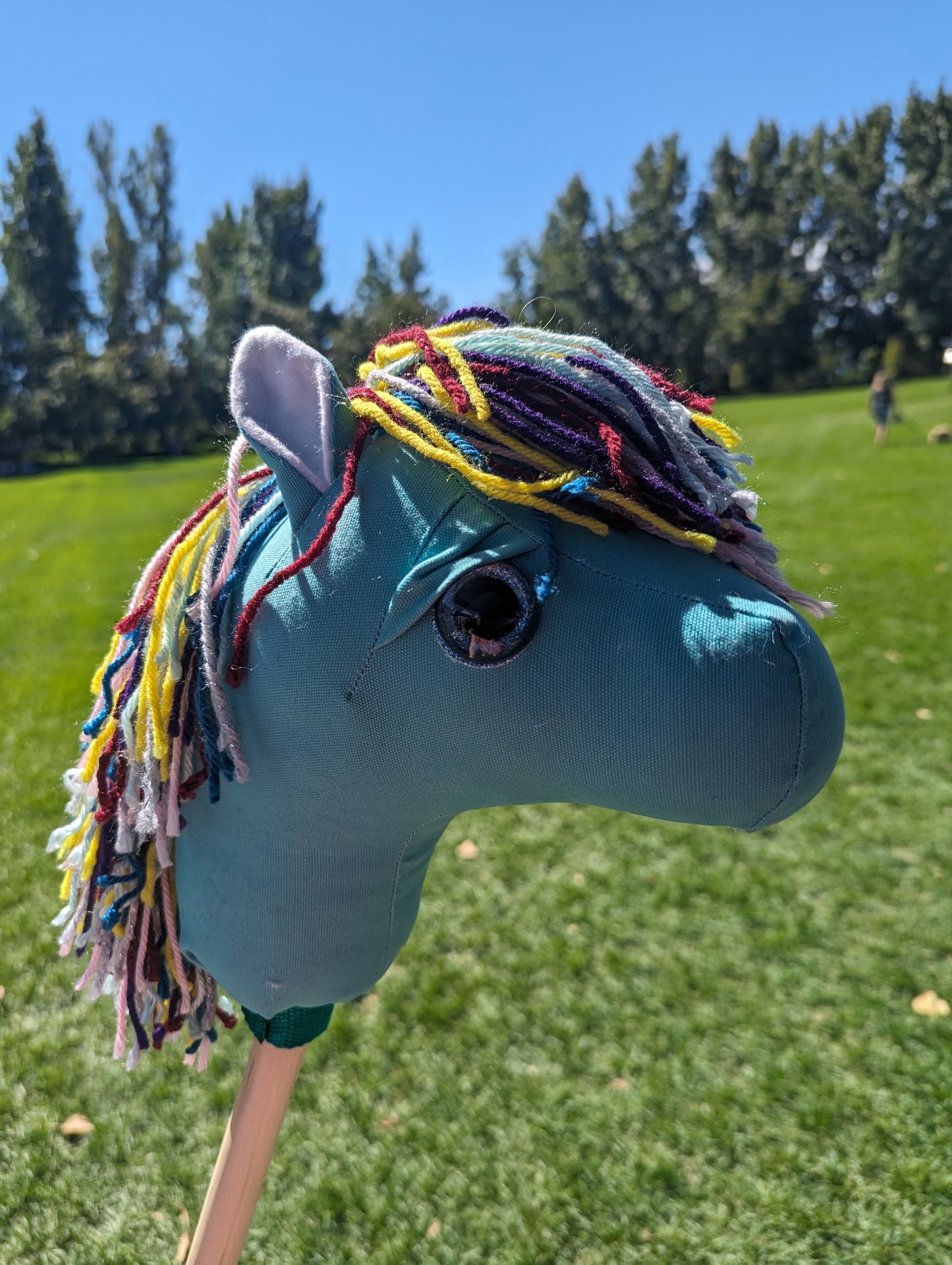 Toddler hobby horse
