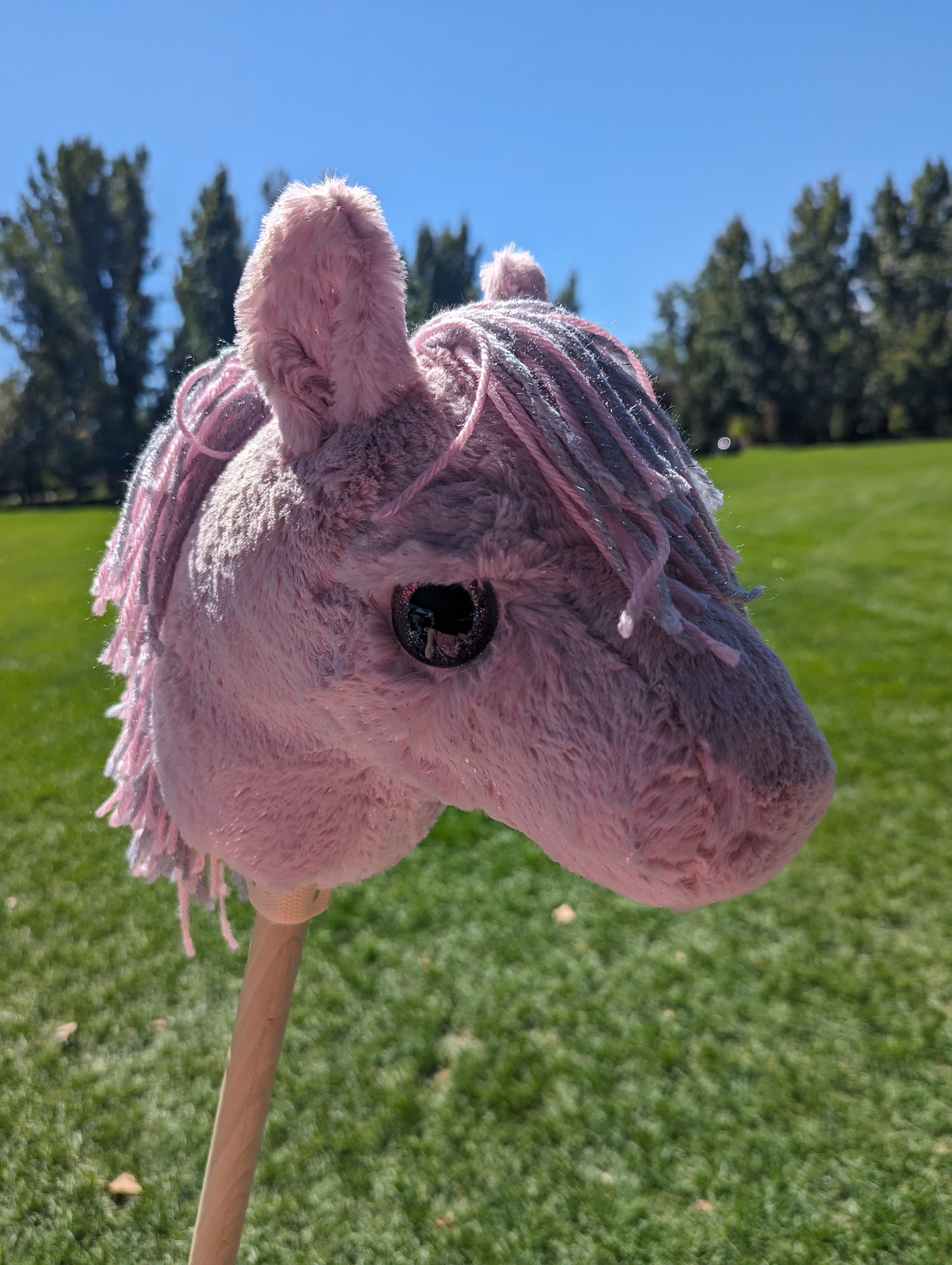 Toddler hobby horse