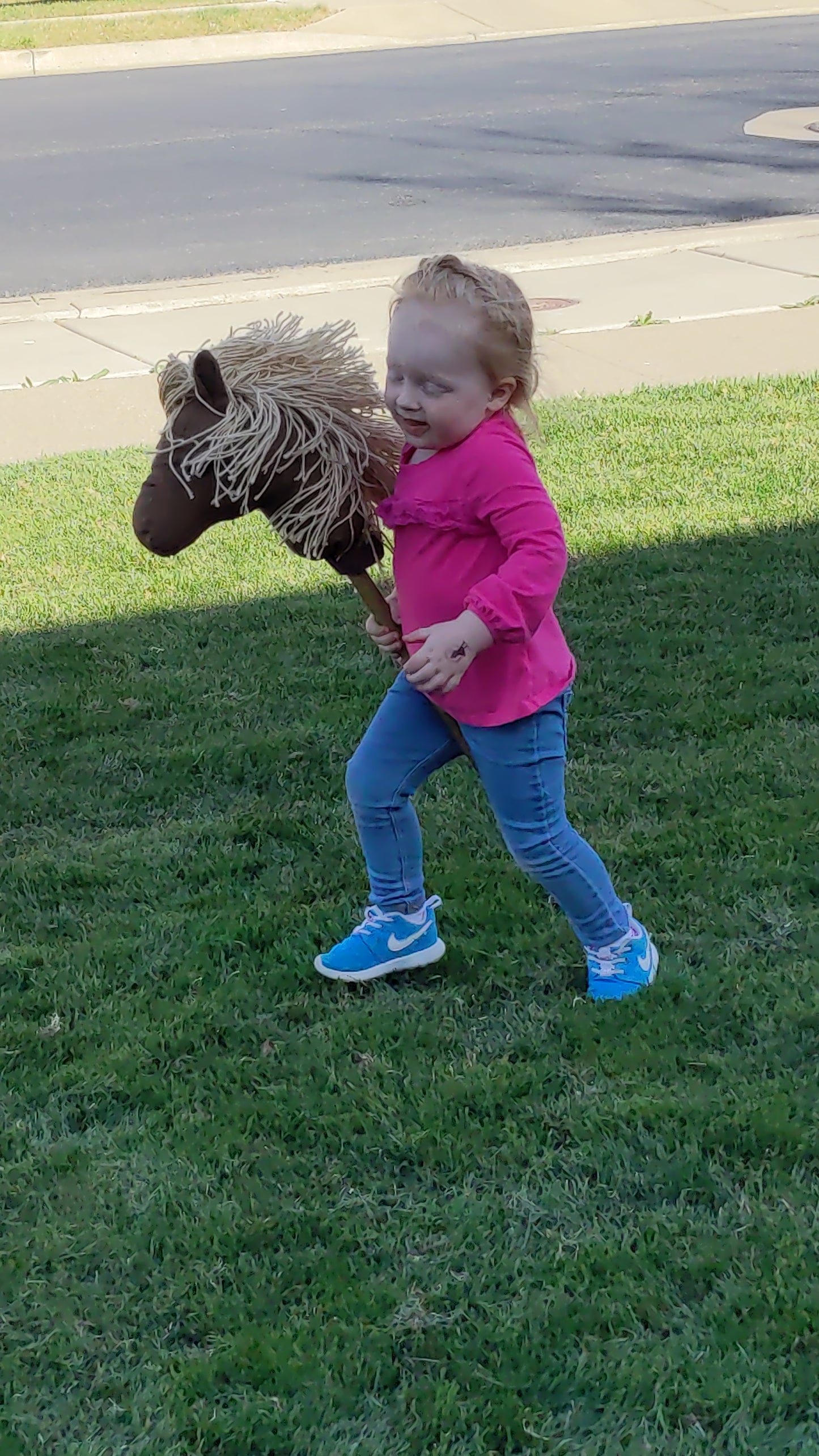 Toddler hobby horse